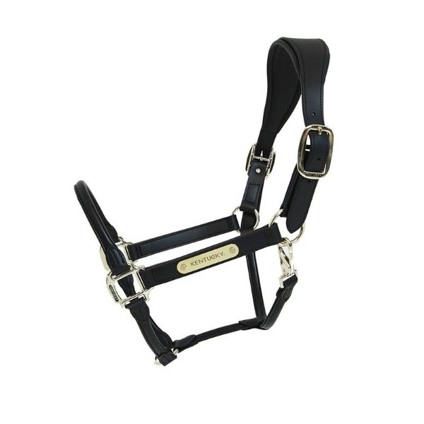 Picture of Kentucky Horsewear Leather Anatomic Halter Black