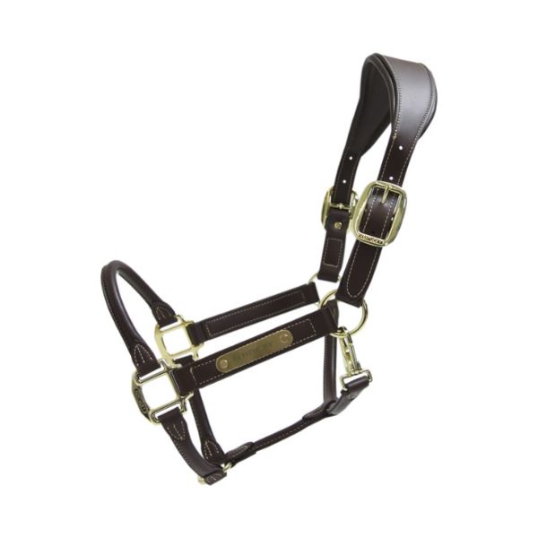Picture of Kentucky Horsewear Leather Anatomic Halter Brown