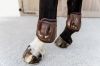 Picture of Kentucky Horsewear Moonboots Air Velcro Brown M