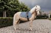 Picture of Kentucky Horsewear Saddle Pad Velvet Jumping Light Blue Pony