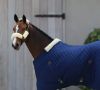 Picture of Kentucky Horsewear Stable Rug 0g Navy
