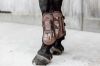 Picture of Kentucky Horsewear Tendon Boots Velcro Brown