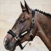 Picture of Kentucky Horsewear Velvet Head Collar Black