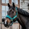 Picture of Kentucky Horsewear Velvet Head Collar Emerald