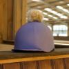 Picture of Aubrion Team Grand Prix Hat Cover Grey