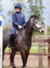 Picture of Aubrion Young Rider Team Jacket Navy Blue