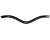 Picture of QHP Browband Hailyn Black