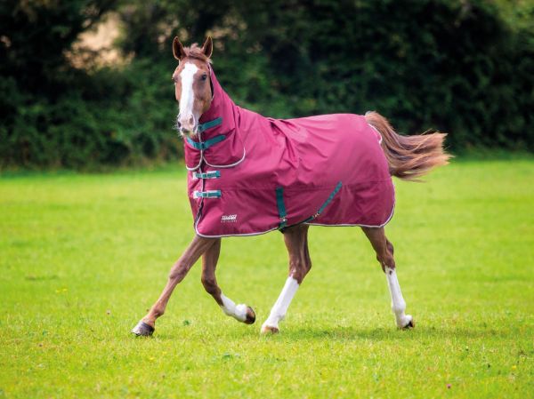 Picture of Shires Tempest Original 200g Combo Turnout Rug Maroon