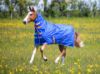 Picture of Shires Tempest Original 50g Combo Turnout Rug Royal