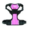 Picture of Weatherbeeta Anti Pull Travel Harness Black Pink