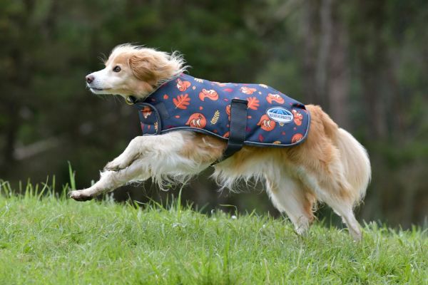 Picture of Weatherbeeta Comfitec Premier Free Parka Dog Coat Medium Squirrel Print