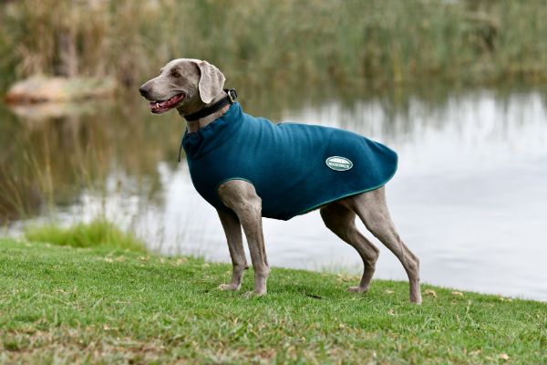 Picture of Weatherbeeta Green-Tec Fleece Zip Dog Coat Dragonfly Blue/Bottle Green