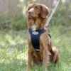 Picture of Weatherbeeta Explorer Dog Harness Navy