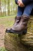 Picture of Shires Moretta Atri Zip Country Boots Brown