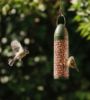Picture of Peckish RTU Peanuts Filled Feeder 300g