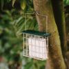 Picture of Peckish All Weather Suet Cake Feeder