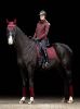Picture of Le Mieux Crystal Fly Hood Burgundy Large