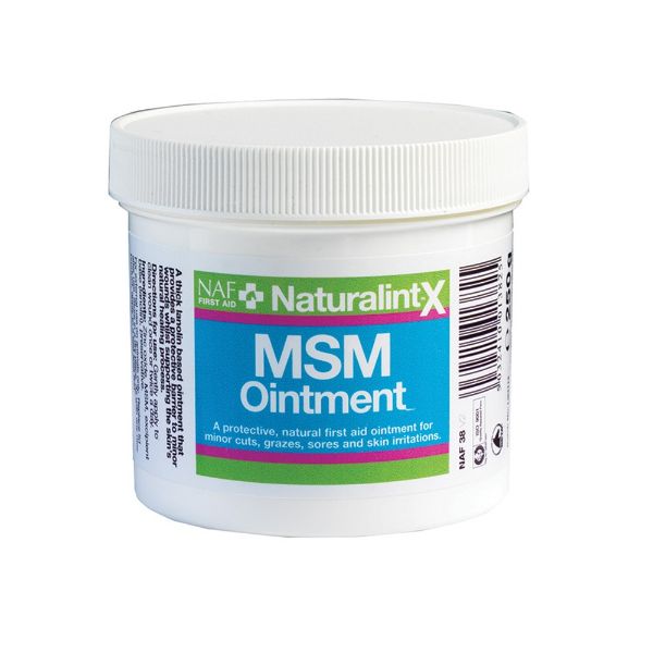 Picture of NAF Naturalintex MSM Ointment 250g