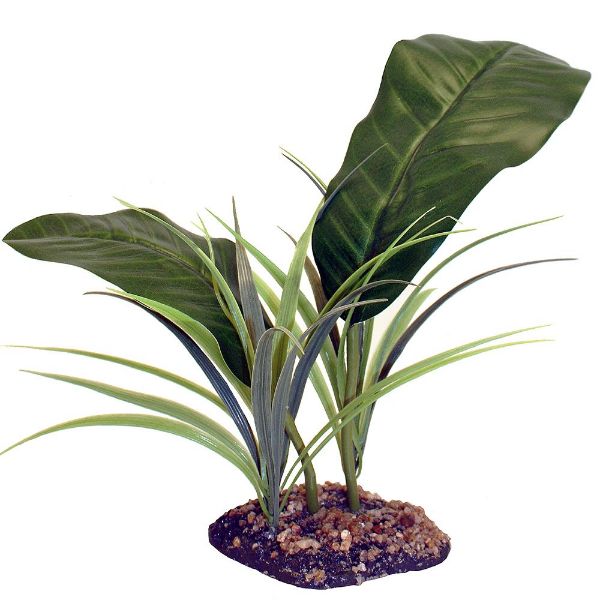 Picture of Komodo Evergreen Canopy 35cm