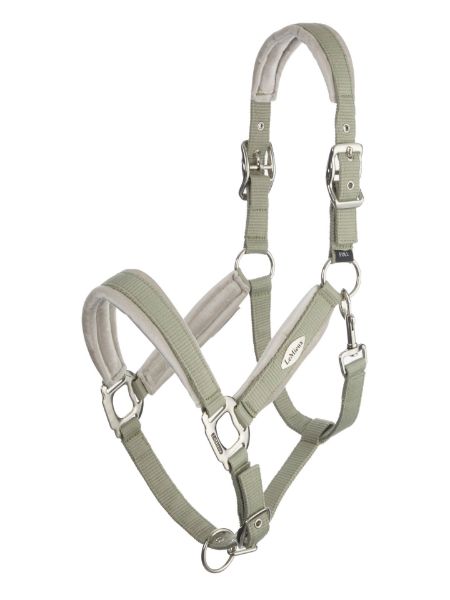 Picture of Le Mieux Versailles Headcollar Fern