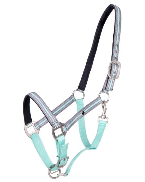 Picture of QHP Head Collar Flore Ice Green