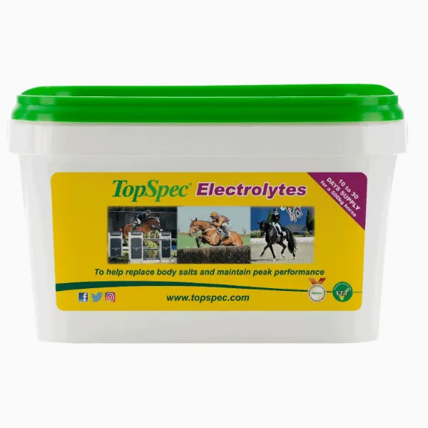 Picture of Topspec Electrolytes 1.5kg