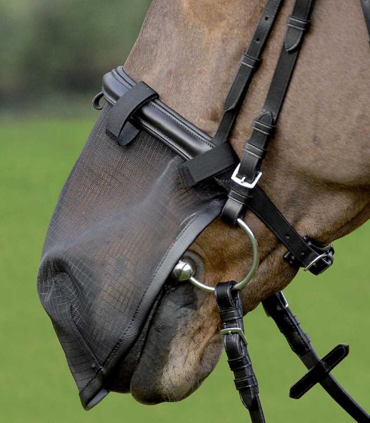 Picture of Walhausen Nose Protection Black Cob