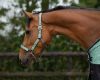 Picture of QHP Headcollar Set With Turnout Collection Meadow