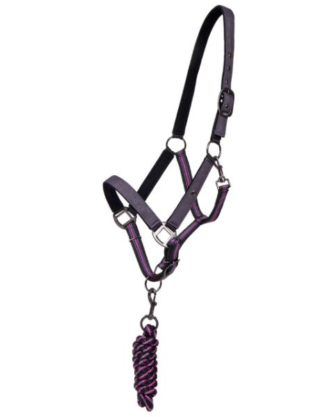 Picture of QHP Headcollar Set With Turnout Collection Python