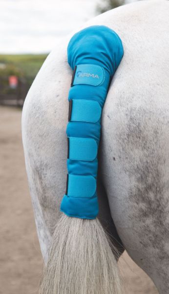 Picture of Shires ARMA Padded Tail Guard Bright Blue