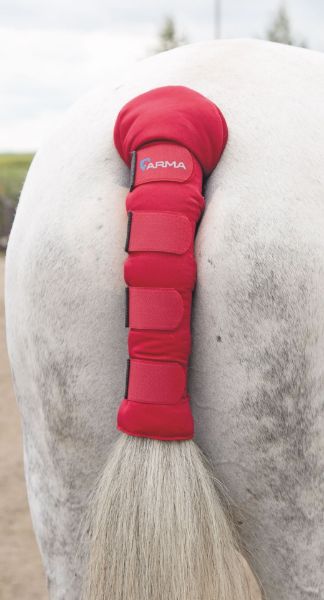 Picture of Shires ARMA Padded Tail Guard Red