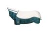 Picture of Weatherbeeta Green-Tec Airflow Mesh Combo Neck White / Dragonfly Blue