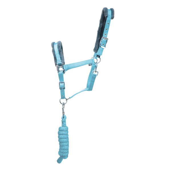 Picture of Hy Sport Active Headcollar & Lead Sky Blue