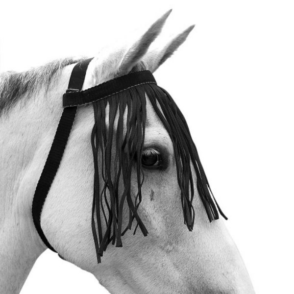 Picture of Hy Equestrian Free Fit Fly Fringe Black