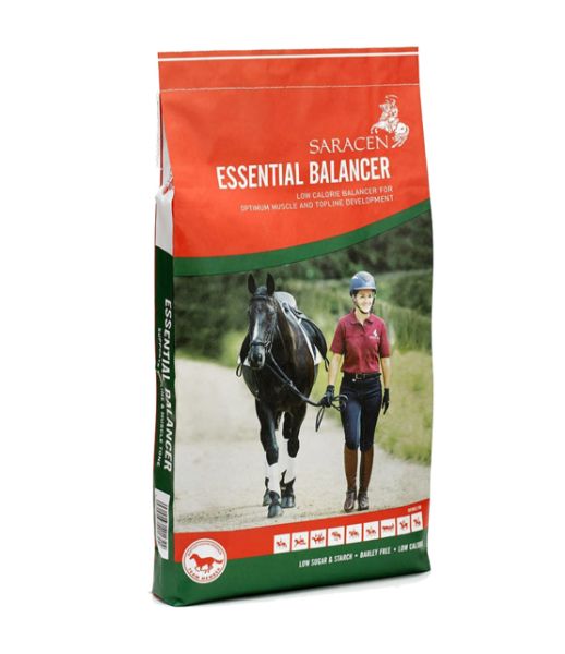 Picture of Saracen Essential Balancer 20kg
