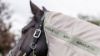 Picture of Le Mieux Arika Armour-Tek Fly Rug Stone