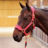 Picture of Shires ARMA Comfy Fleece Headcollar & Lead Rope Coral