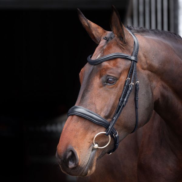 Picture of Shires Velociti Lusso Elite Padded Cavesson Bridle Black