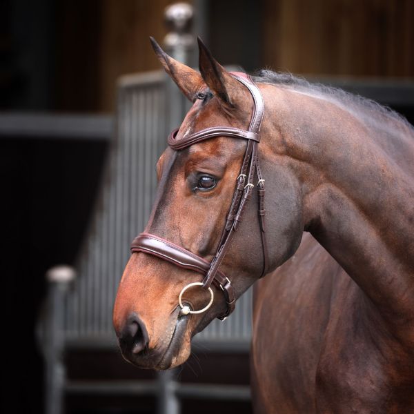 Picture of Shires Velociti Lusso Elite Padded Cavesson Bridle Havana