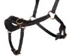 Picture of QHP Bitless Bridle Anatomical Black