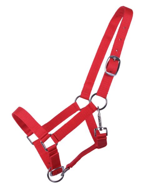 Picture of QHP Head Collar Yearling Red Yearling
