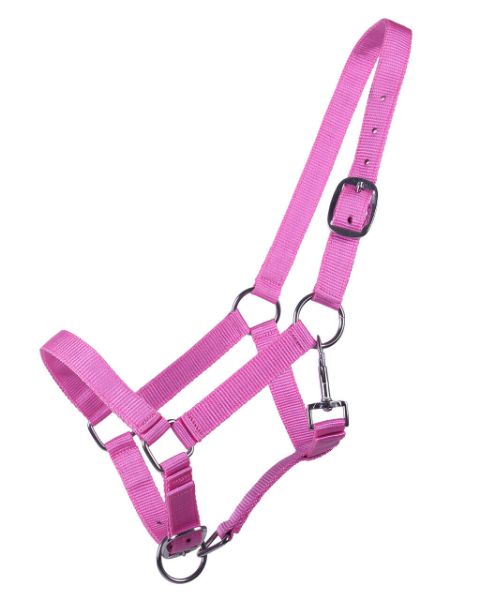 Picture of QHP Head Collar Yearling Pink Yearling