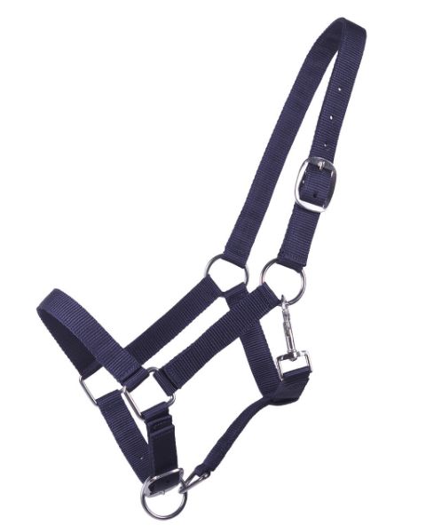 Picture of QHP Head Collar Yearling Navy Yearling