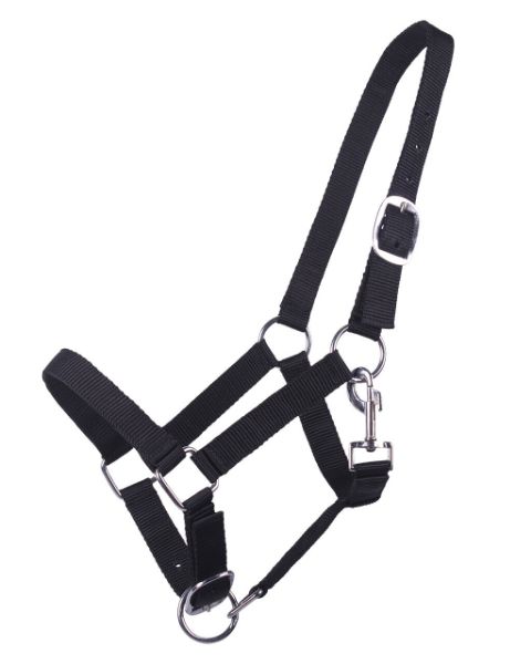 Picture of QHP Head Collar Yearling Black Yearling