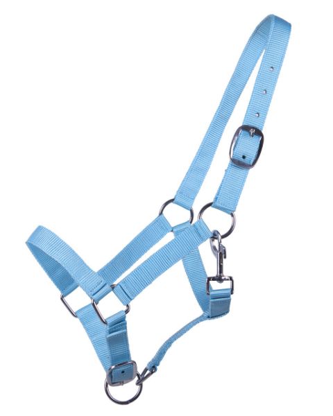 Picture of QHP Head Collar Yearling Baby Blue Yearling