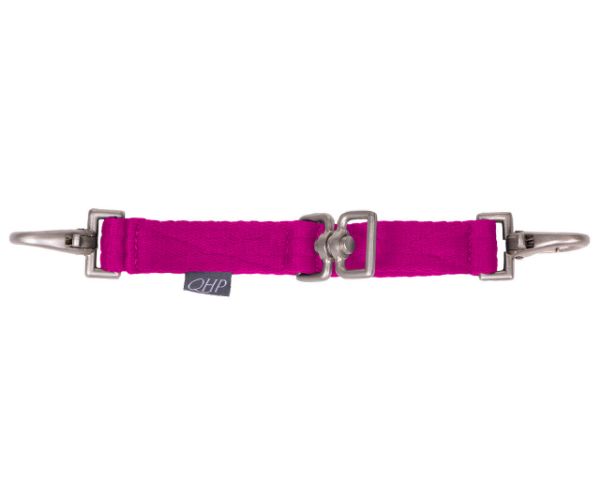 Picture of QHP Lunge Attachment Fuchsia