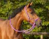 Picture of QHP Rope Halter With Reins Passion Flower 