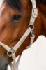 Picture of Eskadron Headcollar Leather Double Pin Classic Sport 24 Velvet Taupe