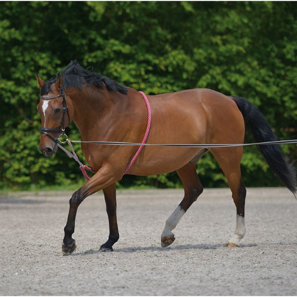 Picture of Waldhausen Longing System Lunging Aid Red/Grey Cob