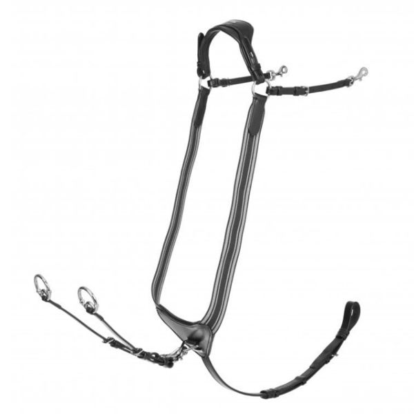 Picture of Le Mieux Arika Elasticated Breastplate Black / Silver